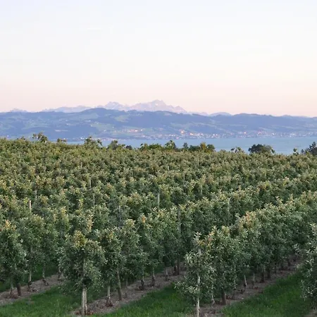 Weinbergblick 아파트