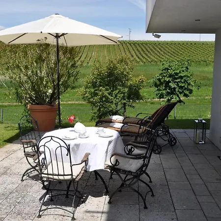 Weinbergblick Apartment *